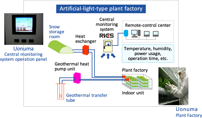 Artificial-light-type plant factory